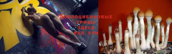 сатива Алексеевка