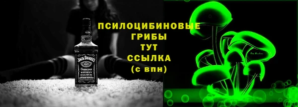 сатива Алексеевка