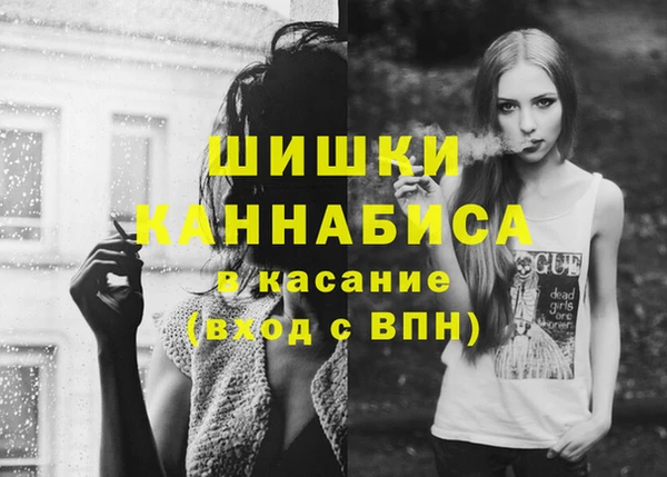 сатива Алексеевка