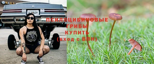 тгк Алзамай