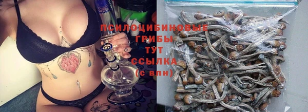 тгк Алзамай