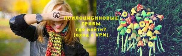 сатива Алексеевка