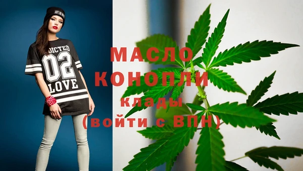 тгк Алзамай
